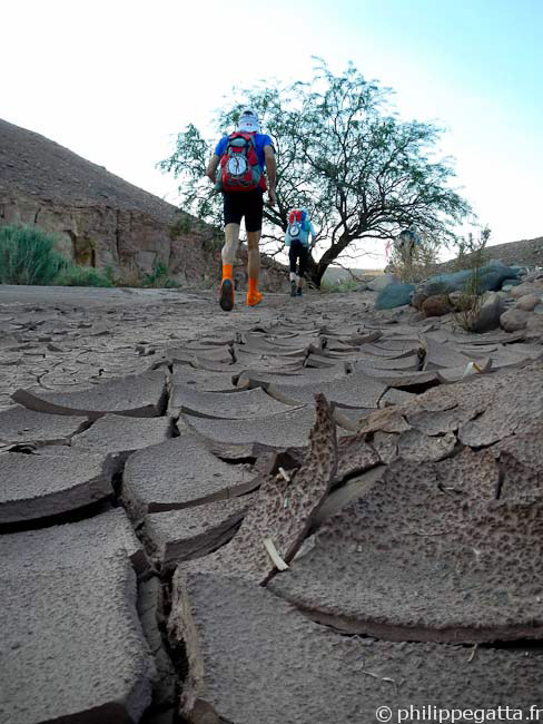 Stage 2 (© P. Gatta)