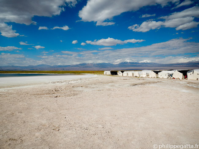 Camp 2, Laguna Cejar and Licancabur Volcano (© P. Gatta)
