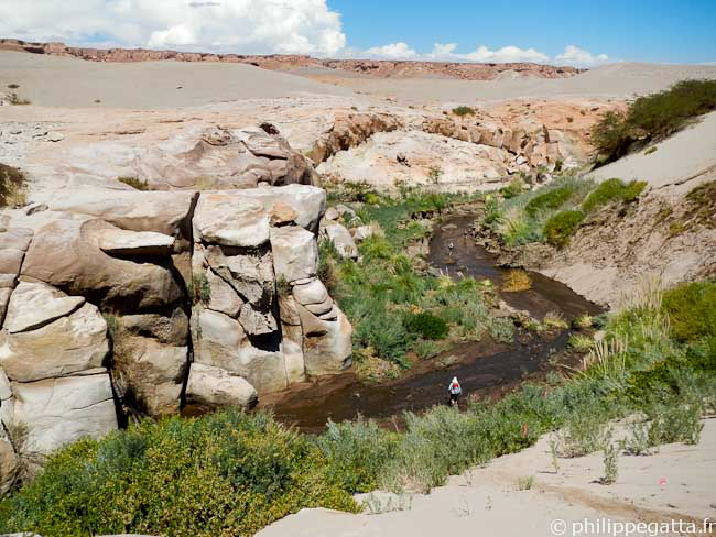 Oasis at the end of Stage 3 (© P. Gatta)