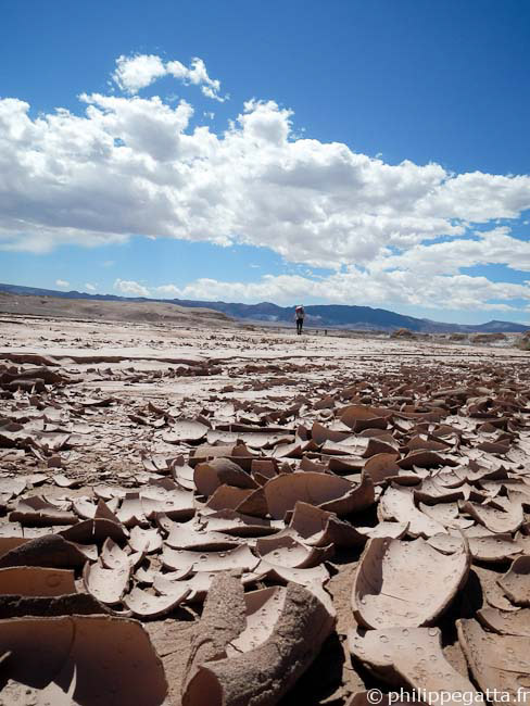 Between check point 4 and 5 (© P. Gatta)