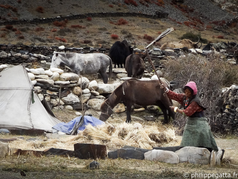 The village of Tinje, Dolpo (© P. Gatta)