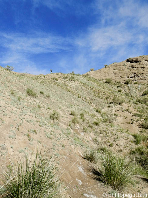 Roller coaster... (© P. Gatta)