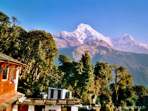 Tadapani (© P. Gatta)