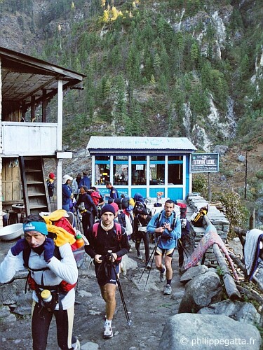 Lata Marang (© P. Gatta)