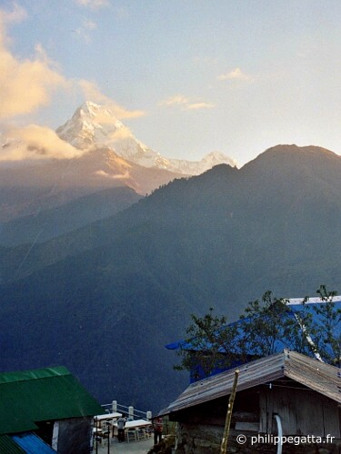 Himal Race (© P. Gatta)