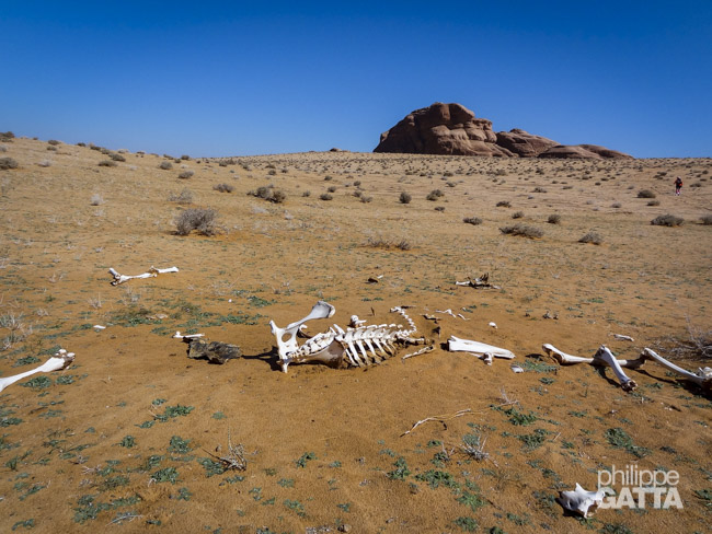 Stage 2 (© P. Gatta)