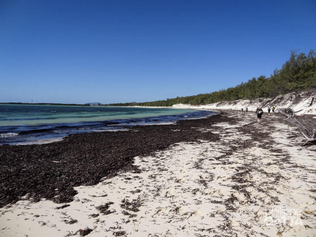 White sand beaches of Madagascar stage 1 (© P. Gatta)