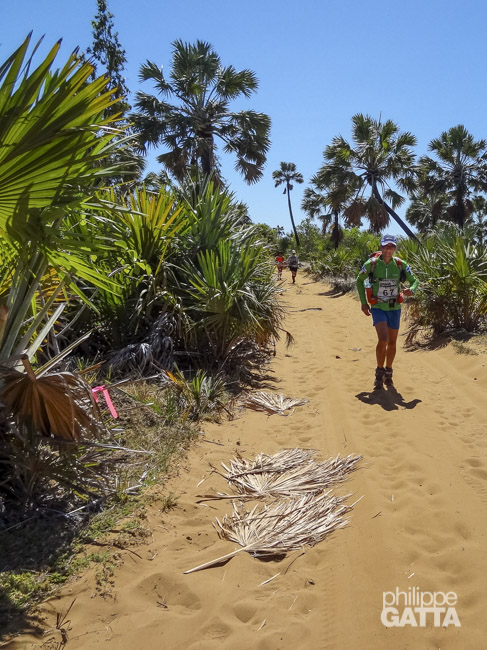 Variety of sceneries (© P. Gatta)