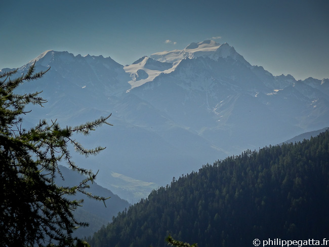 TMB: Grand Combin seen from the trail to Bovine (© P. Gatta)