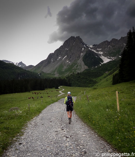 TMB: on the way to the Col du Bonhomme (© P. Gatta)