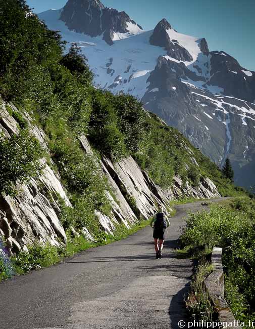 TMB: between Les Chapieux and La Ville des Glaciers (© P. Gatta)