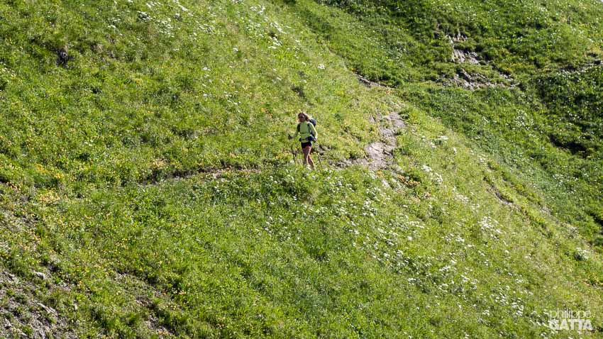 Mountain pastures on the way to Buchboden, Austria (© P. Gatta)